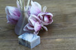 Raumduft Magnolia