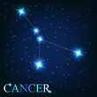 vector of the cancer zodiac sign of the beautiful bright stars o