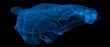Xray Sports car road-star isolated