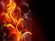 fire background