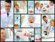 Laboratory work