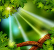 vector background of the mystical mysterious forest with trees a vector background of the mystical mysterious forest with trees a