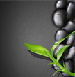 Vector: vector background of a spa with stones, and a sprig of green bam vector background of a spa with stones, and a sprig of green bam