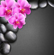 Vector: vector spa background with stones and orchids vector spa background with stones and orchids