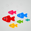Flight of fishes3