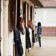 Stable