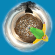 small children's fantasy planet .