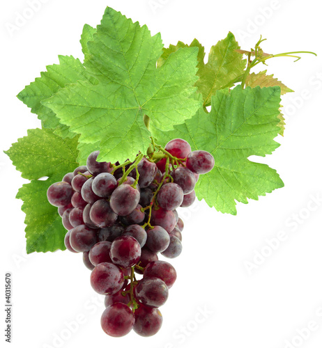Photo: grappe de raisin grappe de raisin
