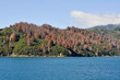Shore at	Cook Strait seen from the ferry (New Zealand)