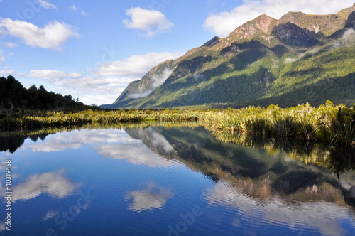 Photo: Mirror lakes, Milford Sound (New Zealand) Mirror lakes, Milford Sound (New Zealand)
