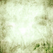 Green grunge background for the photo book