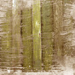 Old textured background wooden boards Old textured background wooden boards