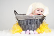 baby Easter bunny in basket baby Easter bunny in basket