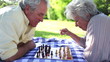Two retired people playing chess