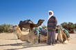 Photo: Chamelier et ses dromadaires #3 Chamelier et ses dromadaires #3