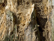 Morscher Baum Sturmschaden