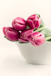Dark Pink Tulips In A Bowl