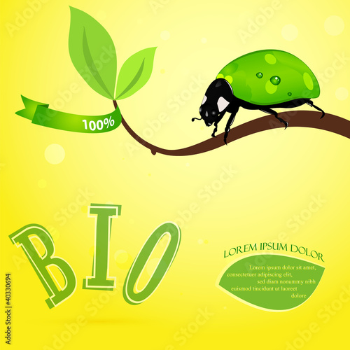 Vector: Bio concept with green ladybird and leaf. Bio concept with green ladybird and leaf.