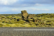 road crossing a lava field overgrown with mosses
