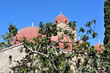 San Giovanni degli eremiti4