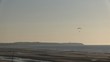 aile delta et gris nez