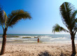 Palm trees and beach Palm trees and beach
