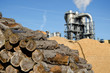 Holzindustrie