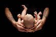 Hands of Father and Mother Hold Newborn Baby on Black