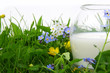 lait,verre,produits laitiers,herbe,images détourées