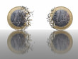 Braking Euro Coins Braking Euro Coins