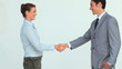 Handshake between two business people