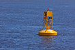 Buoy