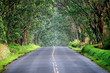 Scenic Road