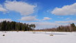 Time lapse clip of winter swamp
