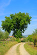 Orvieto Weg - Orvieto track 02