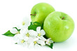 Some ripe, green apples and white flowers .