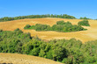 Toskana Huegel im Herbst 10