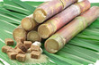sucres de canne