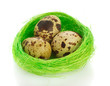 Nest with quail eggs over white background Nest with quail eggs over white background