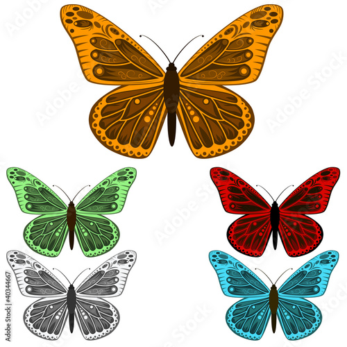 Vector: Butterfly collection isolated on white background Butterfly collection isolated on white background