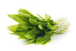 ramson