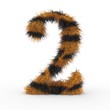Texteffekt Haare Tiger Zahl 2