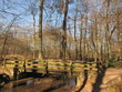 Brücke im Wald