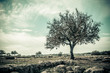 Tree Vintage Style