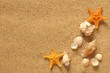 on the beach