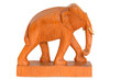 Old elephant