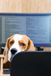 Please do not prevent to work!