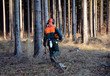 Woodcutter walking in forest