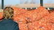 Video: Farmer In Agricultural Warehouse Farmer In Agricultural Warehouse