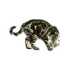 Photo: British cat playing British cat playing